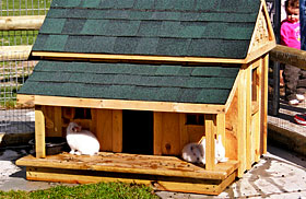 A rabbit cottage for two Bunny Village at Lewis Farm Market, Corn Maze, & Petting Farm, New Era, Michigan, n of Grand Rapids