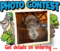 hot_PhotoContest